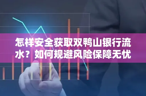 怎样安全获取双鸭山银行流水？如何规避风险保障无忧？