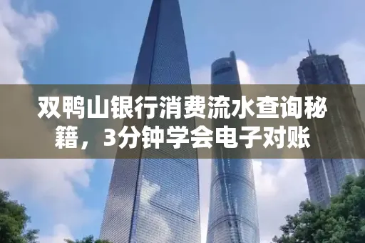 双鸭山银行消费流水查询秘籍，3分钟学会电子对账
