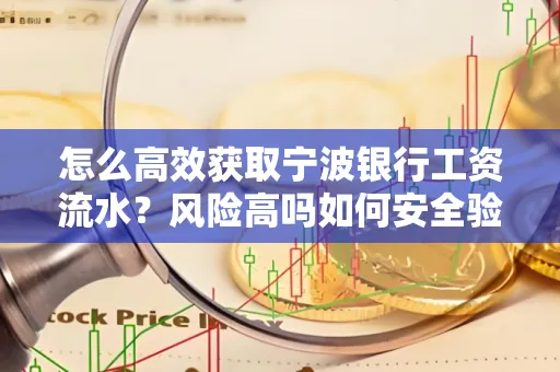 怎么高效获取宁波银行工资流水？风险高吗如何安全验证？