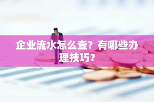 企业流水怎么查？有哪些办理技巧？