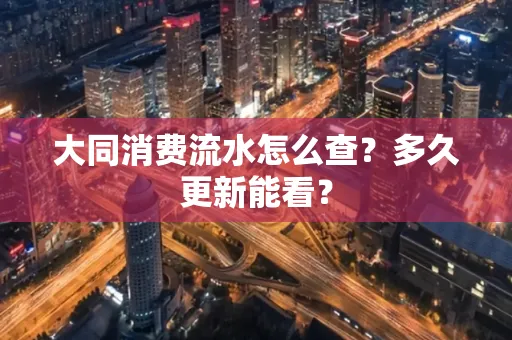 大同消费流水怎么查？多久更新能看？